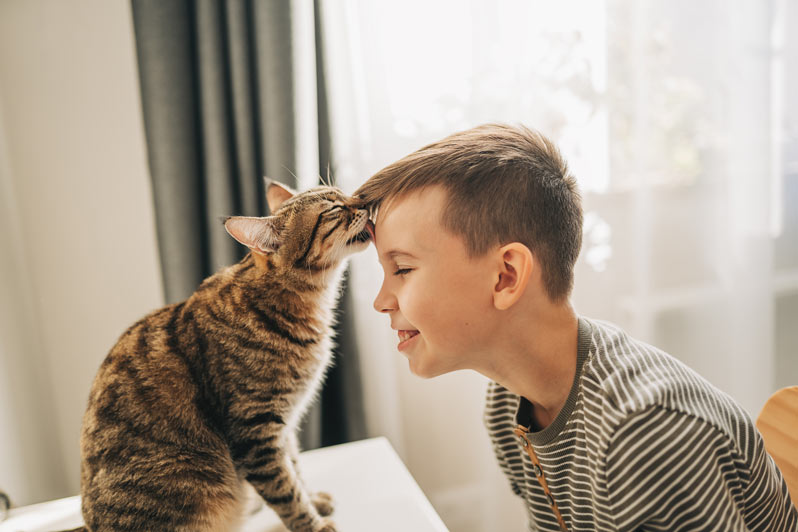 Cat on table licking a laughing child's forehead