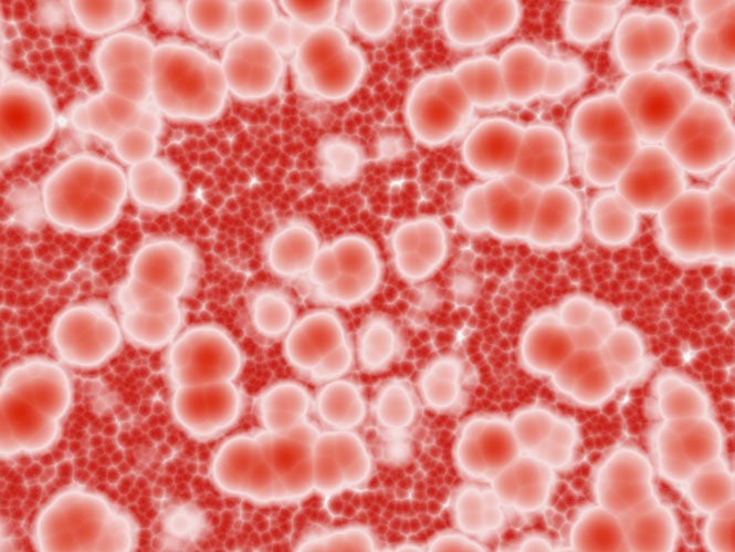 Pictures of blood cells under microscope